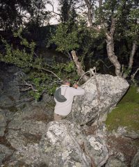 Kuva: Ville Rinne, Kesäyön velvollisuudet. Valokuva, 2019.